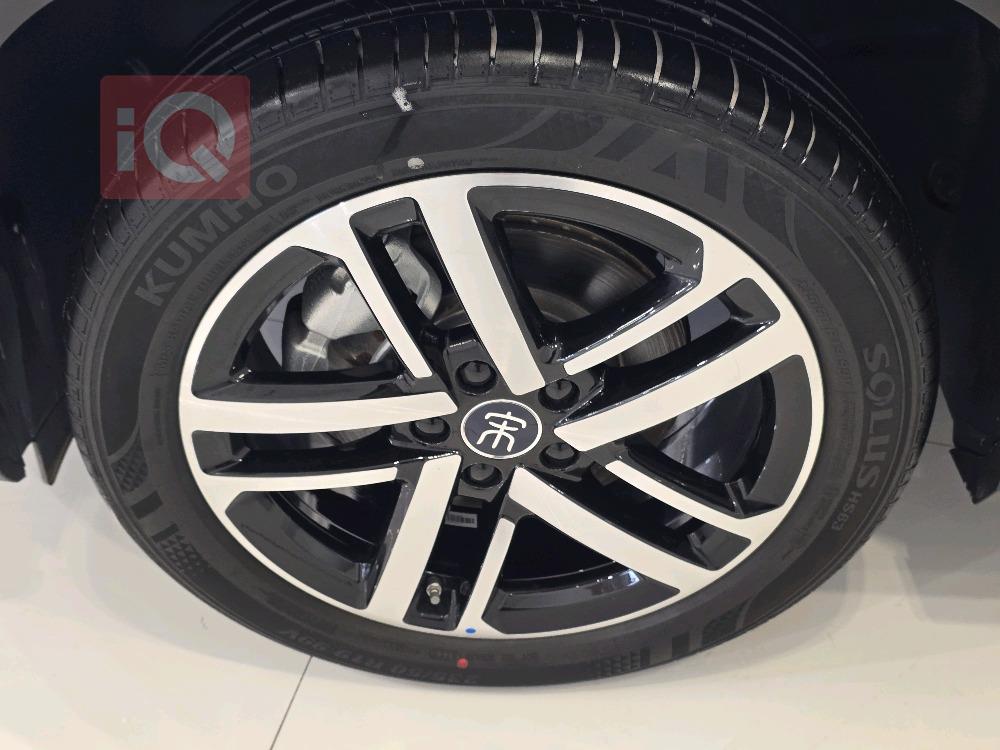 بي واي دي سونغ L DM-i